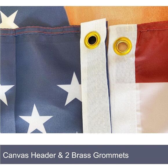 Nicki Minaj Flag American Flags 4x6FT Barb Flag USA Nicki Minaj Tapestry … - Picture 2 of 7